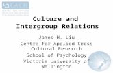 Culture and Intergroup Relations James H. Liu Centre for Applied Cross Cultural Research School of Psychology Victoria University of Wellington.