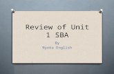 Review of Unit 1 SBA By Nyoka English. Problem Definition Identifies an organization and gives a brief description of the organization, zeroing in on.