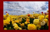 “From Rejection to Restoration” (Psalm 60) (Psalm 60)