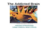 Department of Pharmacology, College of Medicine, Hallym University The Addicted Brain COPYRIGHT 2004 SCIENTIFIC AMERICAN, INC.