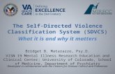 The Self-Directed Violence Classification System (SDVCS) What it is and why it matters Bridget B. Matarazzo, Psy.D. VISN 19 Mental Illness Research Education.