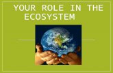 YOUR ROLE IN THE ECOSYSTEM. All life on Earth is interconnected. All life interacts with the nonliving environment.