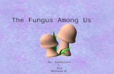 The Fungus Among Us By: Katherine C. And Marissa W.