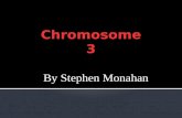 By Stephen Monahan.  Genes on chromosome 3 include ABHD5,ALAS1, AMT,ATP2B2, and BCHE  Chromosome 3 contains between 1,100 to 1,500 genes where ABHD5,ALAS1,