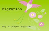 Migration: Why do people Migrate?. Vocab Cyclic Movement: movement that has a closed route and is repeated seasonally or annually –Nomadism: movement.