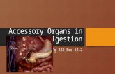 Accessory Organs in Digestion Pg 222 Sec 12.2. Flat Elongated Located deep along back of abdomen The Pancreas.