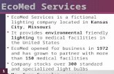EcoMed Services is a fictional lighting company located in Kansas City, Missouri  It provides environmental friendly lighting to medical facilities.