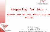 Preparing for 2011 – Where are we and where are we going Cathie Biga President/CEO Cardiovascular Management of Illinois.
