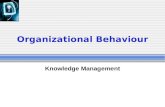 Organizational Behaviour Knowledge Management. Topic Objectives Understand the concept of knowledge management Examine knowledge management solutions.