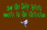 Does the Holy Spirit in some direct way lead us or direct us ? Some say yes ! Vision – Experience Believe the Holy Spirit operates Separate and apart.
