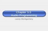 Chapter 5.5 Audio Programming Lacey Montgomery. 2 Audio Programming Audio in games is more important than ever before - less repetitive - More complex.