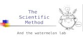 The Scientific Method And the watermelon lab. What is the scientific method? It is a step by step procedure of scientific problem solving. Similar to.