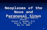 1 Neoplasms of the Nose and Paranasal Sinus University of Texas Medical Branch Steven T. Wright, M.D. Anna M. Pou, M.D. May 19, 2004.