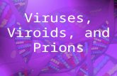 1 Viruses, Viroids, and Prions. 2 Are Viruses Living or Non-living? Viruses are both and neither They have some properties of life but not others For.
