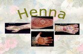 What is henna? Henna is a small shrub with small, dark green scented leaves. The leaves are dried and ground down into a powder which is finely sieved.