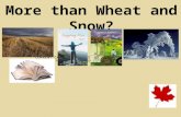 More than Wheat and Snow? CURRENT CANADIAN REALISTIC FICTION FOR SECONDARY SCHOOLS Dr. Leah C Fowler.