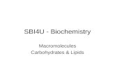 SBI4U - Biochemistry Macromolecules Carbohydrates & Lipids