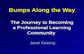 Bumps Along the Way The Journey to Becoming a Professional Learning Community Janel Keating.