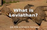 What is Leviathan? Job 41& science in harmony. Some people think Leviathan was a crocodilian. Let’s investigate and consider this possibility.