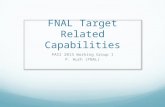 FNAL Target Related Capabilities PASI 2013 Working Group 1 P. Hurh (FNAL)