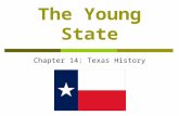 The Young State Chapter 14: Texas History. A New Constitution  July 1845: Delegates attending the convention of 1845 wrote a new constitution for the.