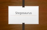Stegosaurus classification Stegosaurus was an herbivorous ornithischian dinosaur, belonging to the group Thyreophora also called Enoplosauria. They were.
