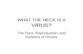 WHAT THE HECK IS A VIRUS? The Form, Reproduction, and Genetics of Viruses.