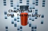 Chapter 13: DNA Technology. With all our knowledge of DNA and genes, is there any way to manipulate DNA? Genetic Engineering – form of applied genetics.