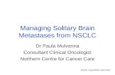 NECN Lung NSSG April 2012 Managing Solitary Brain Metastases from NSCLC Dr Paula Mulvenna Consultant Clinical Oncologist Northern Centre for Cancer Care.