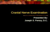 Cranial Nerve Examination Presented By: Joseph S. Ferezy, D.C.