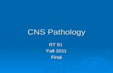 CNS Pathology RT 91 Fall 2011 Final. CRANIAL FRACTURES.