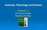 Anatomy, Physiology and Disease Chapter 2 The Human Body: Reading the Map.