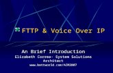 FTTP & Voice Over IP An Brief Introduction Elizabeth Correa- System Solutions Architect .