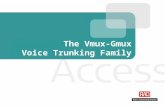 The Vmux-Gmux Voice Trunking Family. Vmux Trunking Slide 2 Agenda Introduction Applications Products & Features Management Summary.