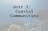 Unit 3: Coastal Communities. Structure of a Typical Marine Alga Absorption of water and nutrients occurs throughout the thallus, so there is no conducting.