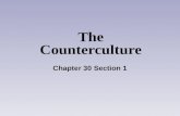 The Counterculture Chapter 30 Section 1. Everything on the tube tearing us apart was almost perfectly balanced by the remarkable unity [we heard] on the.