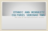 ETHNIC AND MINORITY CULTURES SEMINAR TWO The rise of the multicultural society.