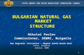 1 BULGARIAN NATURAL GAS MARKET STRUCTURE STRUCTURE Nikolai Pavlov Commissioner, SEWRC, Bulgaria Commissioner, SEWRC, Bulgaria Gas Regional Initiative –