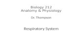 Biology 212 Anatomy & Physiology Dr. Thompson Respiratory System.