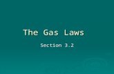 The Gas Laws Section 3.2.  What happens to your lungs when you take a deep breath?