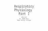 Respiratory Physiology Part I BIO 219 Dr. Adam Ross Napa Valley College.