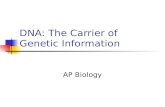 DNA: The Carrier of Genetic Information AP Biology.