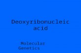 Deoxyribonucleic acid Molecular Genetics Deoxyribonucleic Acid I. Introduction Deoxyribonucleic Acid (DNA), is the genetic material of all cellular.