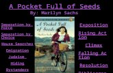 A Pocket Full of Seeds Separation by Force Separation by Choice House Searches Emigration Judaism Hiding Bystanders Exposition Rising Action Climax Falling.