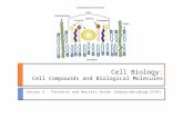 Cell Biology: Cell Compounds and Biological Molecules Lesson 4 – Proteins and Nucleic Acids ( Inquiry into Life pg. 37-41 )