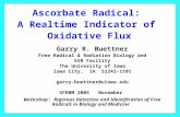 Ascorbate Radical: A Realtime Indicator of Oxidative Flux Garry R. Buettner Free Radical & Radiation Biology and ESR Facility The University of Iowa Iowa.