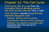 Chapter 12: The Cell Cycle Cell cycle: life of a cell from its formation from a dividing parent cell until its own division into 2 cells Cell cycle: life.