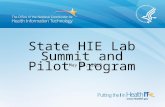 State HIE Lab Summit and Pilot Program May 30, 2012.