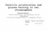 Particle acceleration and plasma heating in the chromosphere Alexander Stepanov, Pulkovo Observatory, St.Petersburg, Russia Valery Zaitsev Institute of.