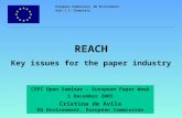 European Commission, DG Environment Unit C.3: Chemicals REACH Key issues for the paper industry CEPI Open Seminar – European Paper Week 1 December 2005.